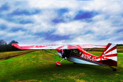 Training_Header-3